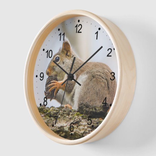 Eekhoorndieren Houtland Creats Round Wood (Hoek)