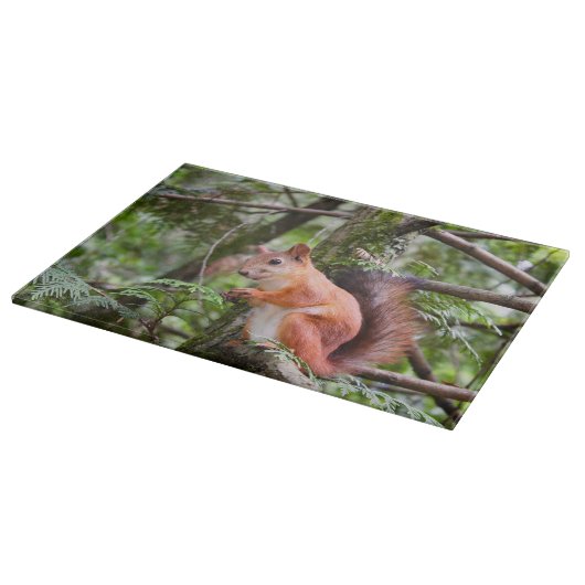 Eekhoornfoto Snijplank (Hoek)