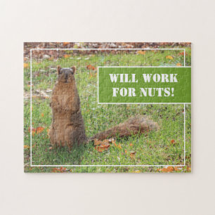 Eekhoornfoto Werkt Voor Noten Legpuzzel