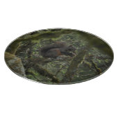 eekhoornkameel snijplank (Hoek)