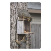 Eekhoornklemborden Mini Klembord (Achterkant)