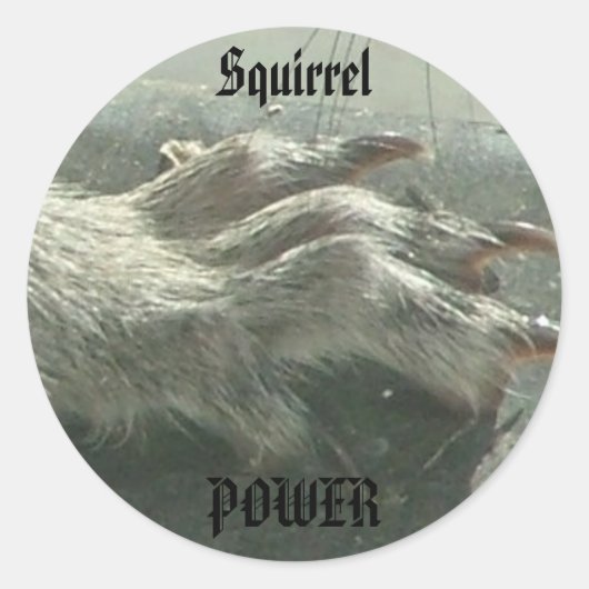 Eekhoornmacht Ronde Sticker (Voorkant)