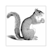Eekhoornnoot illustratie rubberstempel (Afrduk)