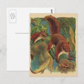  eekhoorns, boscreten, wilde dieren briefkaart (Voorkant / Achterkant)