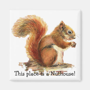 Eekhoorns Dit is een Nuthouse! Humor Magneet