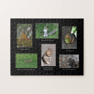 Eekhoorns! Puzzel