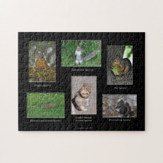 Eekhoorns! Puzzel Legpuzzel (Horizontaal)