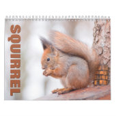 Eekhoorns wandkalender kalender (Hoes)