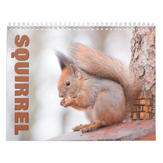 Eekhoorns wandkalender kalender (Hoes)