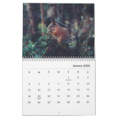 Eekhoorns wandkalender kalender (Jan 2026)