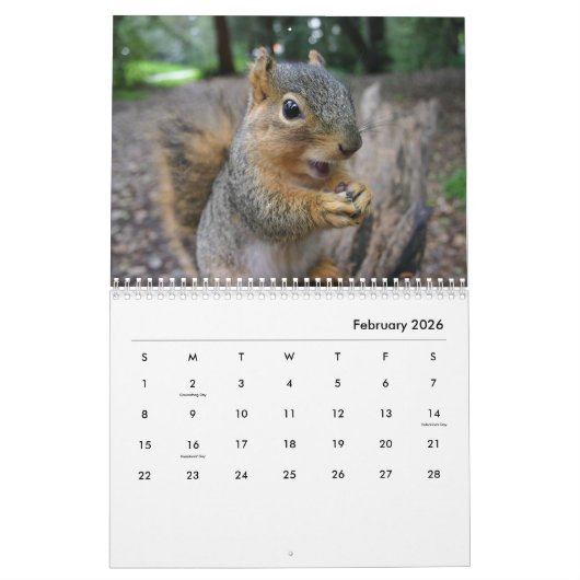 Eekhoorns wandkalender kalender (Feb 2026)