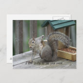 eekhoorntje Briefkaart (Voorkant / Achterkant)