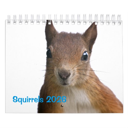 Eekhoorntje Kalender (Hoes)