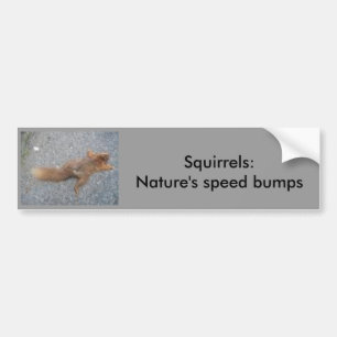 Eekhoorntjes Bumpersticker