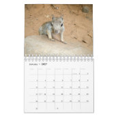 Eekhoorntjes en Chipmunks Kalender (Jan 2027)