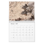 Eekhoorntjes en Chipmunks Kalender (Feb 2027)