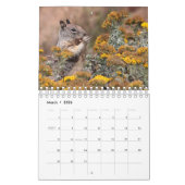 Eekhoorntjes en Chipmunks Kalender (Mar 2026)