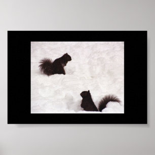 Eekhoorntjes in sneeuw poster
