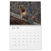 Eekhoorntjes Kalender (Mar 2027)