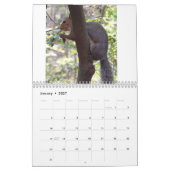 Eekhoorntjes Kalender (Jan 2027)