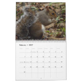 Eekhoorntjes Kalender (Feb 2027)