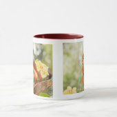 Eekhoorntjes Mok (Midden)