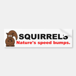 Eekhoorntjes Natuur Snelheidspompen Bumpersticker
