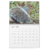 Eekhoorntjes Saltus Fidelis Calendar Kalender (Mar 2026)