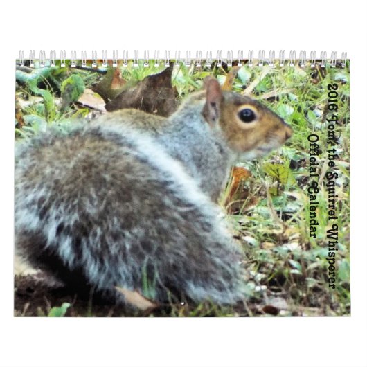 Eekhoorntjes Saltus Fidelis Calendar Kalender (Hoes)