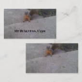 Eekhoorntjes Visitekaartjes (Voorkant / Achterkant)