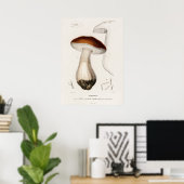 Eekhoorntjesbrood (Boletus edulis) Poster (Thuiskantoor)