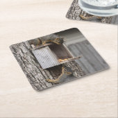 EekhoorntjesDrink Onderzetter (Schuin)