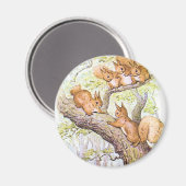 eekhoornvergadering magneet (Voorkant / Achterkant)