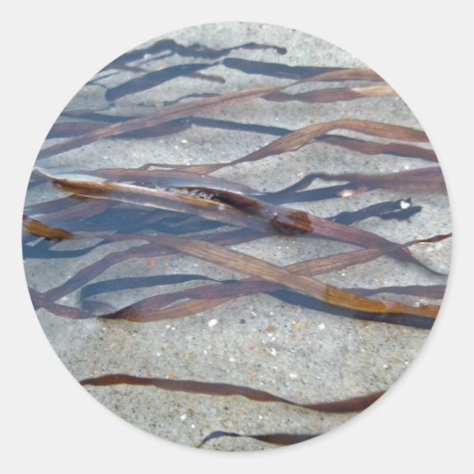 Eel Grass Seaweed Sticker (Voorkant)
