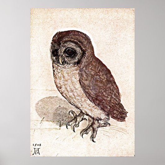 Een 500 jaar oude tekening poster (Voorkant)