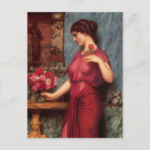 Een aanbod aan venusolieschilderijen briefkaart