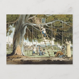 Een aanbod van eerste groeten aan de God Fo, bord  Briefkaart