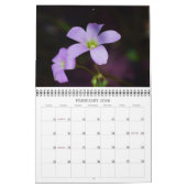 Een aanraking van de Kalender van de Zon (Feb 2026)