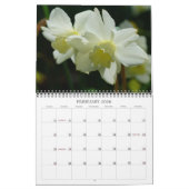 Een aanraking van de Zon II Kalender (Feb 2026)