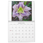 Een aanraking van de zondag kalender (Mar 2026)