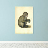 Een aap canvas afdruk (Insitu (Houten vloer))