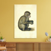 Een aap canvas afdruk (Insitu (Woonkamer))