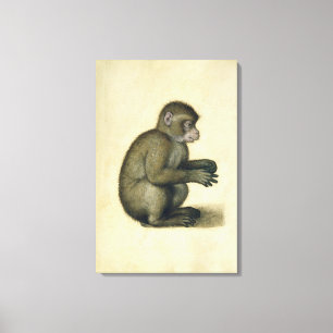 Een aap canvas afdruk