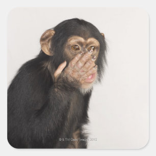 Een aap die zijn gezicht wrijft vierkante sticker