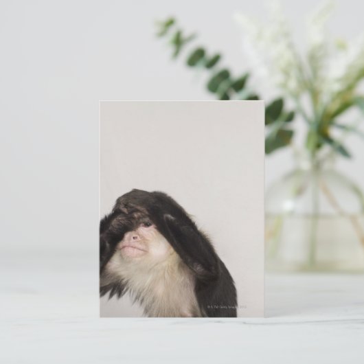 Een aap die zijn ogen bedekt briefkaart (Staand voorkant)