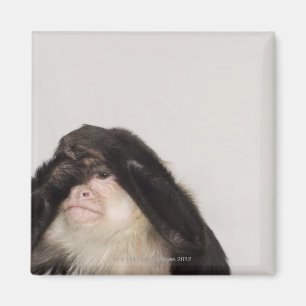 Een aap die zijn ogen bedekt magneet