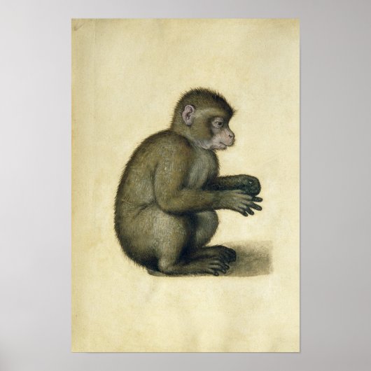 Een aap poster (Voorkant)