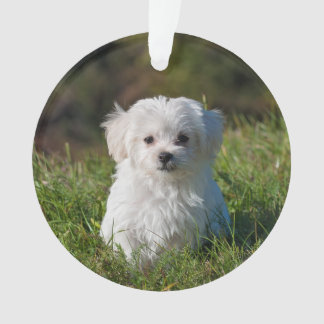 Een acrylkerstversiering maken - Pic/Text toevoege Ornament