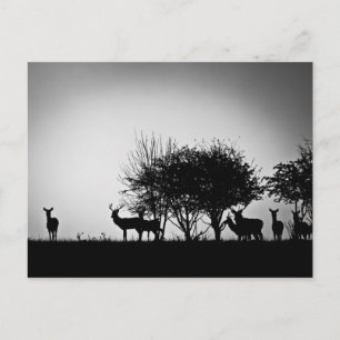 Een afbeelding van een hert in de ochtend mist briefkaart