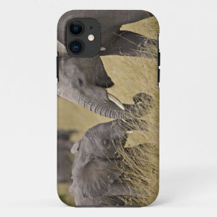 Een Afrikaanse olifant die graast in de velden iPhone 11 Hoesje